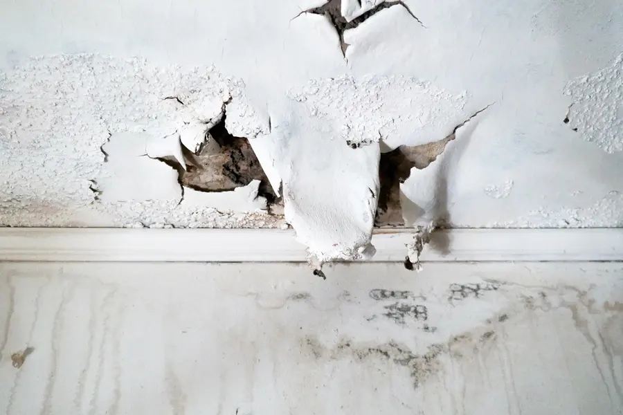 Ceiling leak water damage in an Altamonte Springs, FL home